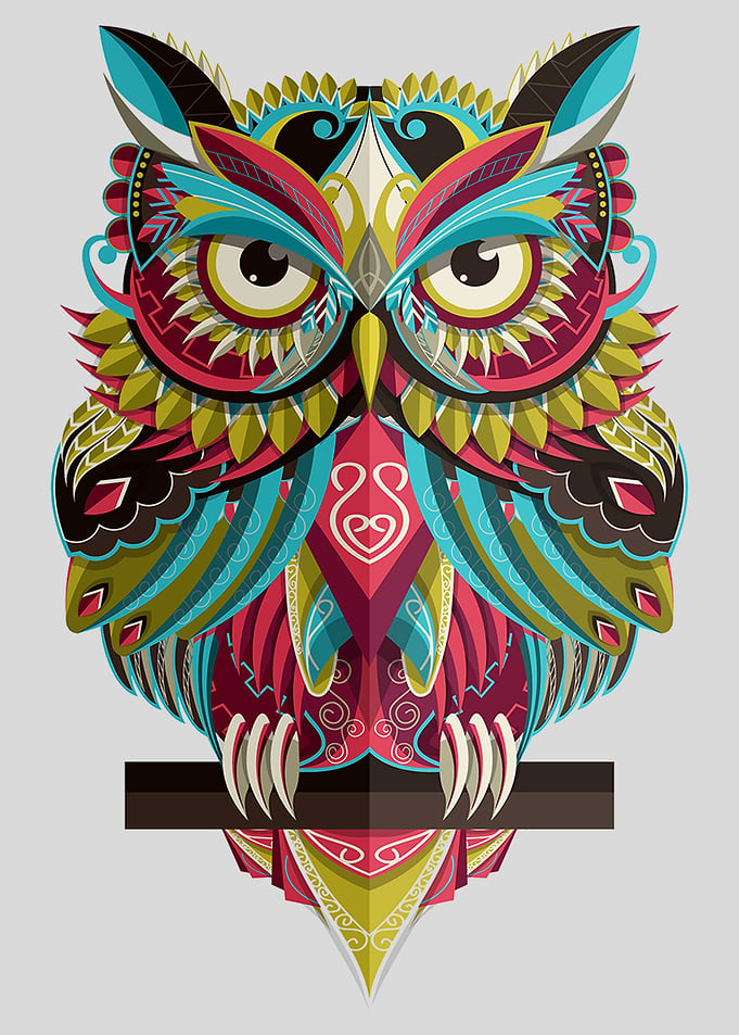 Colorful Owl Bird