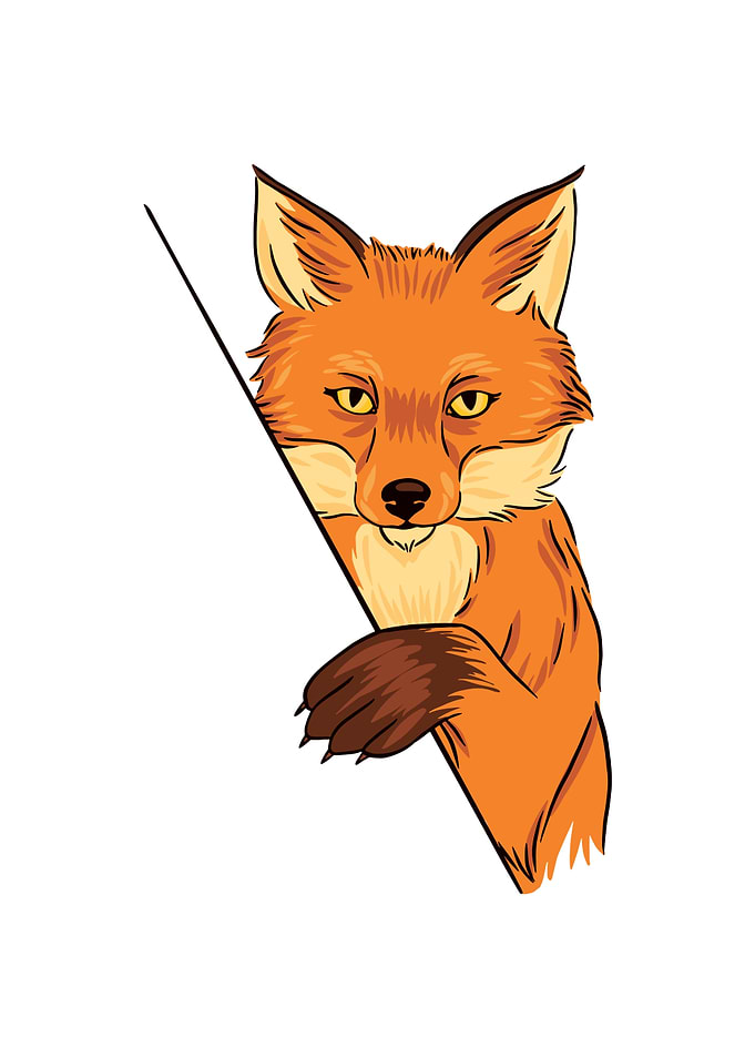 FOX ILLUSTRATION