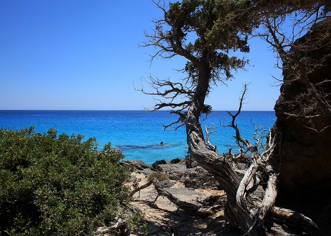Kedrodasos beach crete