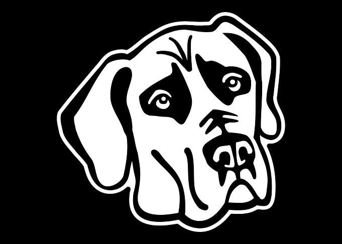 Great Dane