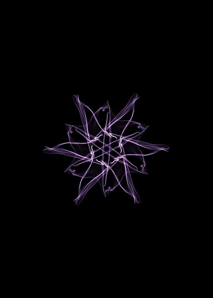 Fractal flower