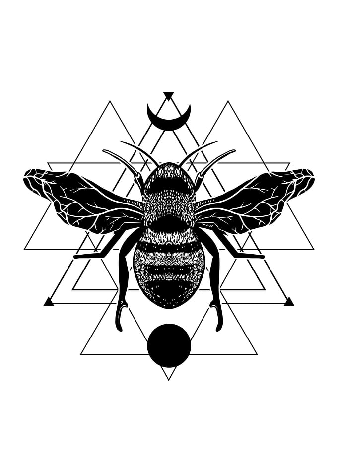Geometric Occult Bee