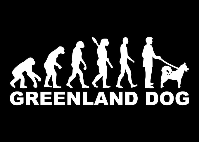 Greenland Dog
