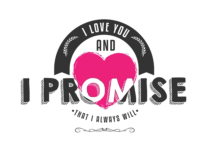 i love you and i promise