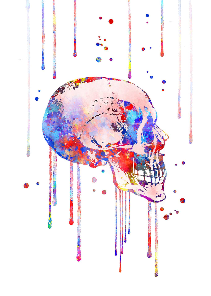 Skull