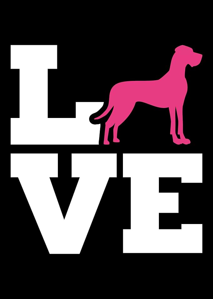 Great Dane
