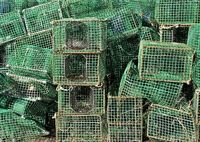 Lobster Catch Basket 01