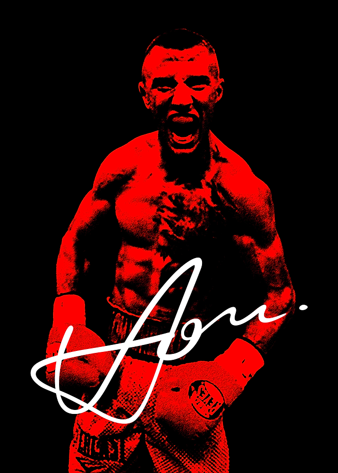 Boxing Vasyl Lomachenko