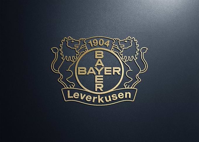 bayer leverkusen