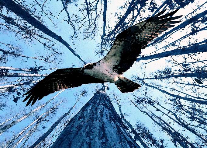 Winter flight