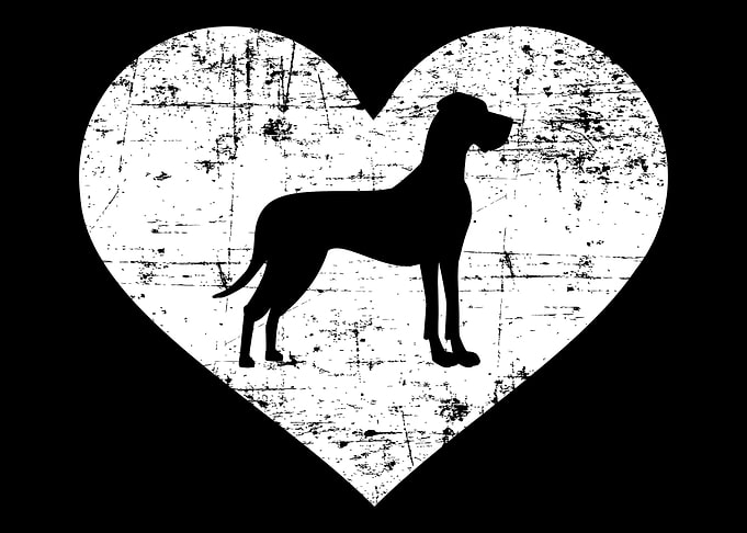 Great Dane