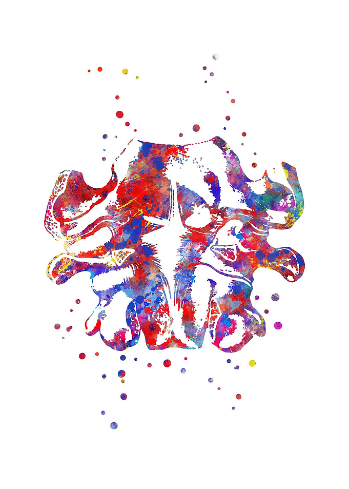 Cervical vertebra
