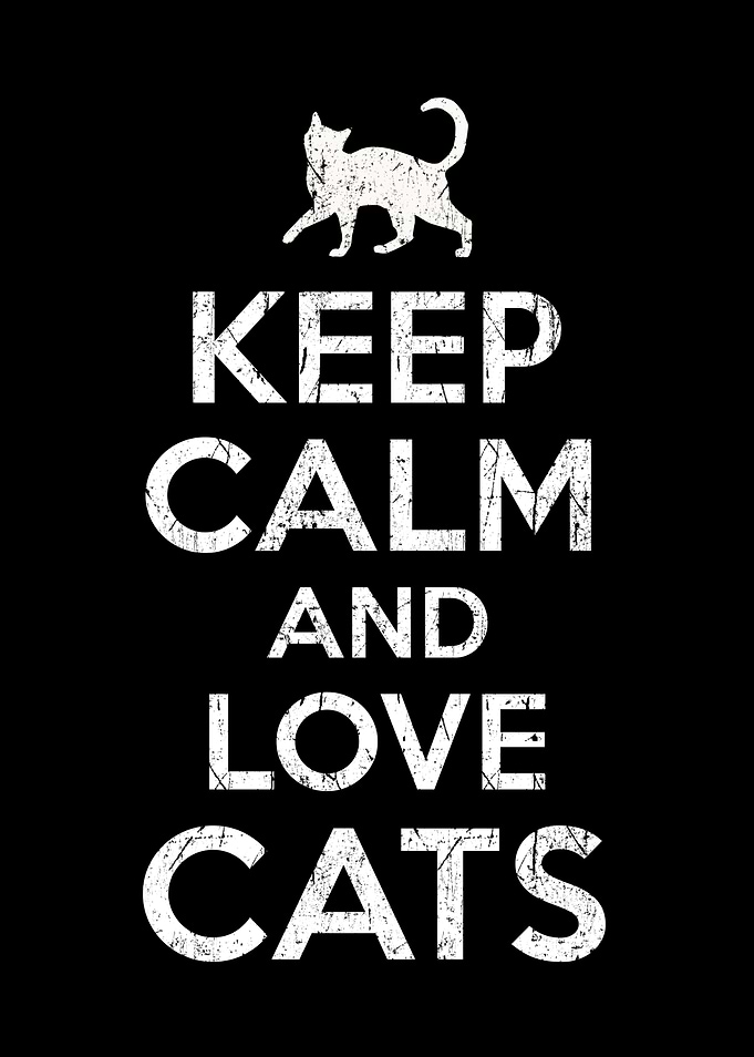 Keep Calm Cat