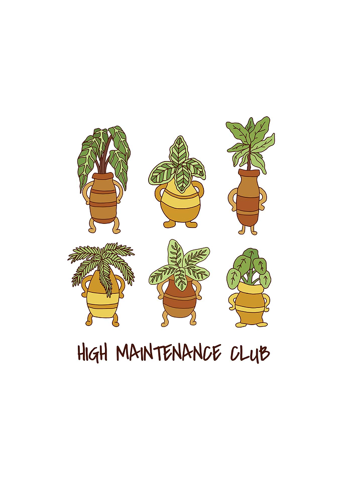 HIGH MAINTENANCE CLUB