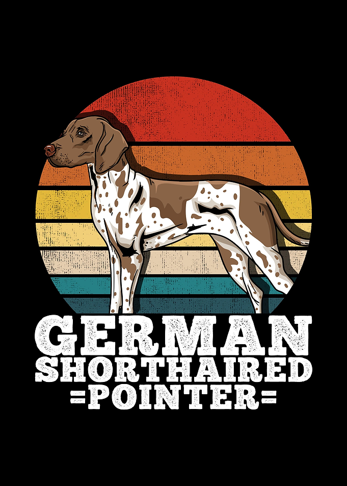 German Shorthaired Pointer