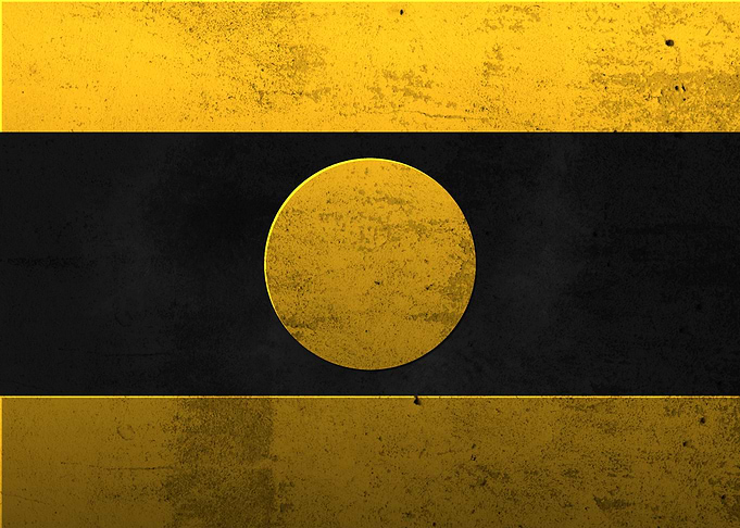 Flag of Niger cityscapes