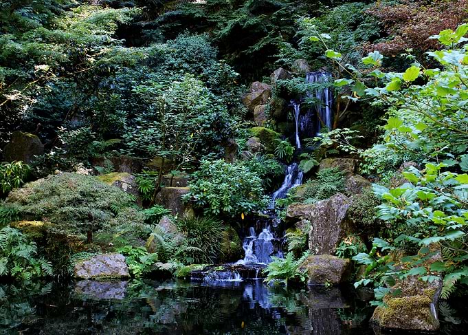 Peaceful Flowing Waterfall