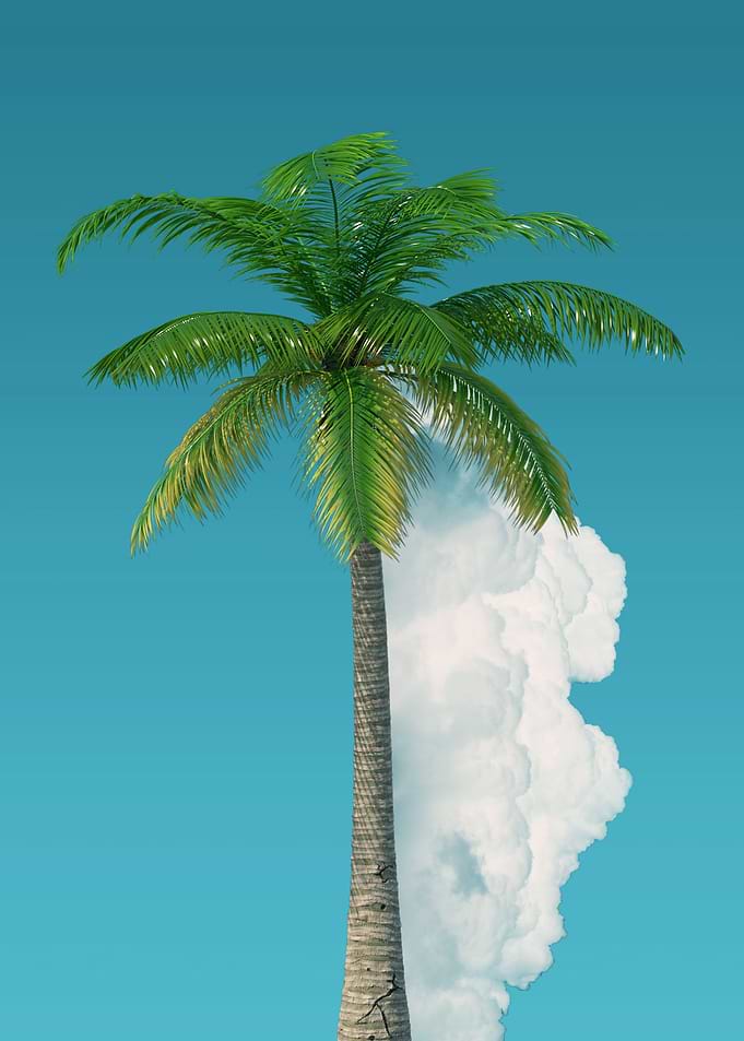Palm Tree Slice Clouds