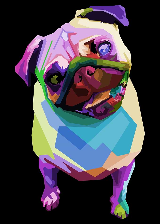 cute pug on pop art