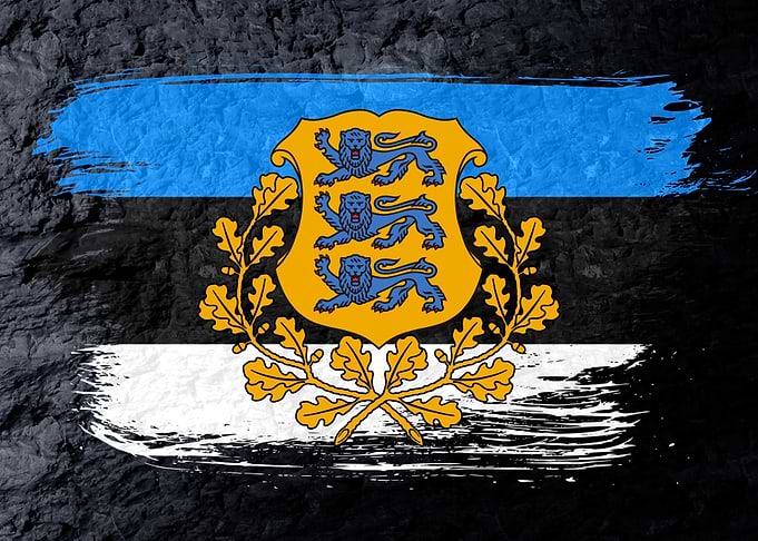 Estonia flag grunge brick