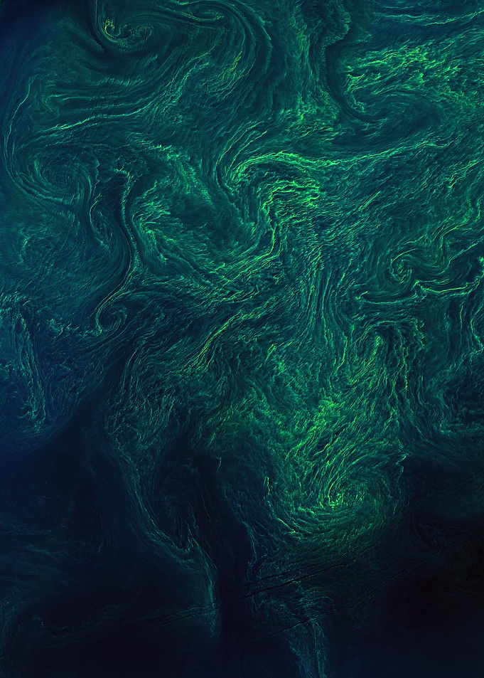 Algal bloom from space