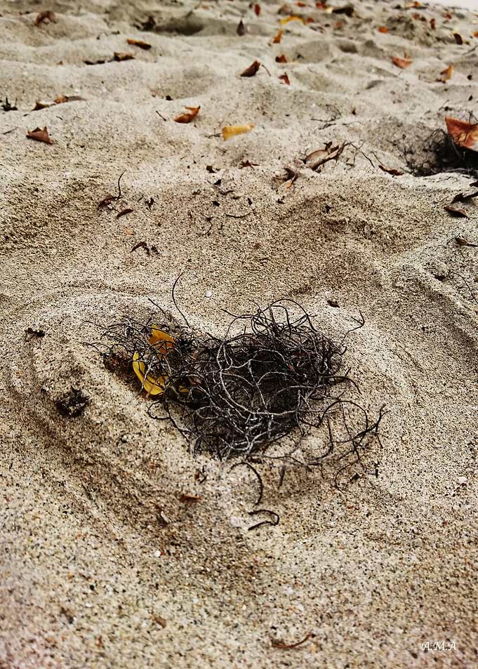 Sand heart