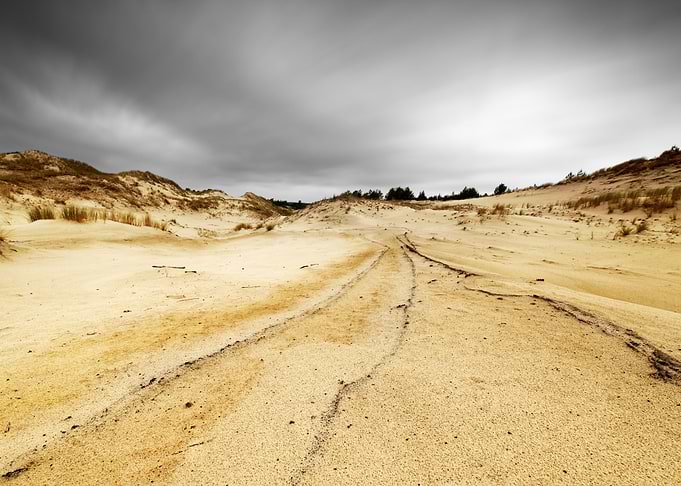 Dune landscape