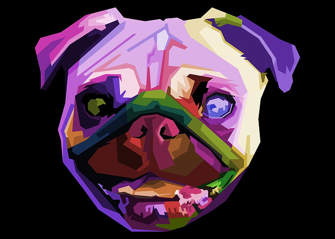 cute pug dog