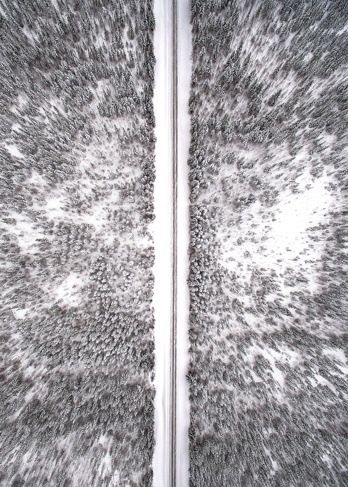 Frozen