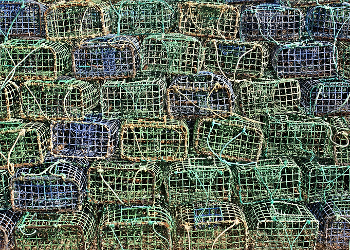 Colorful lobster catcher 1