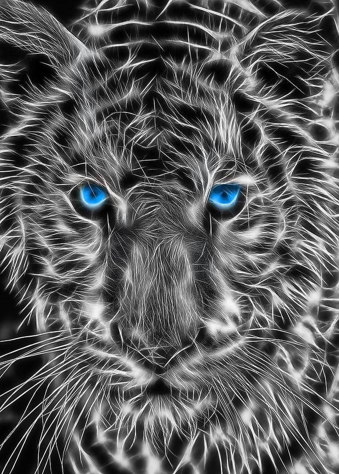 White Tiger Line Art