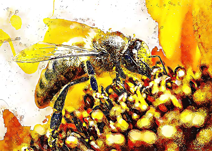 bee eat nectar