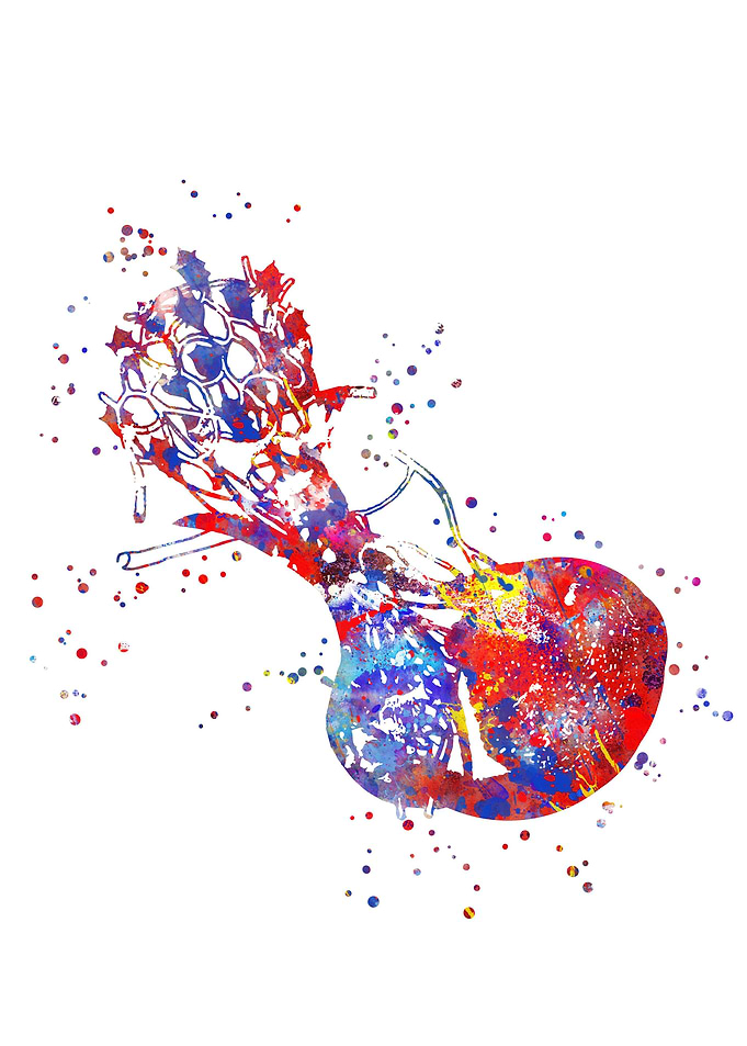 Pituitary gland