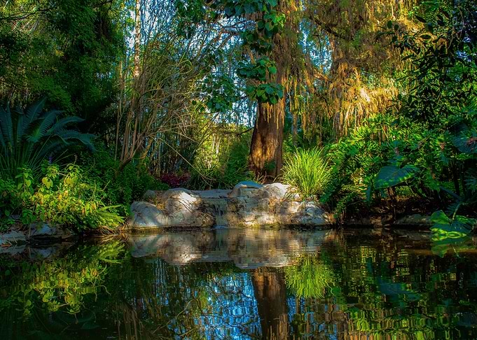 Peaceful Rocky Stream