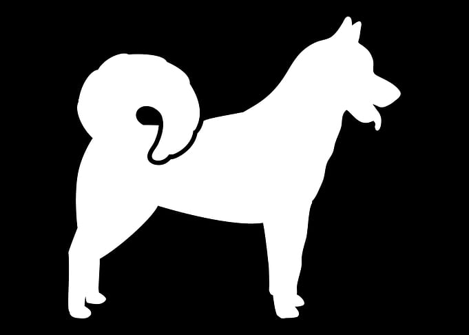 Greenland Dog