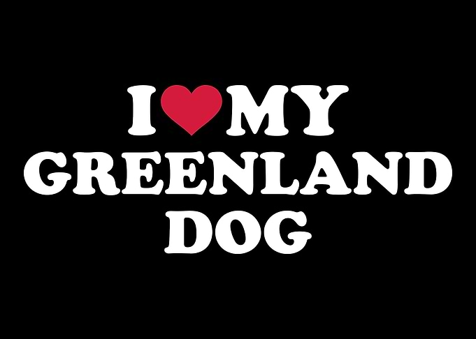 Greenland Dog