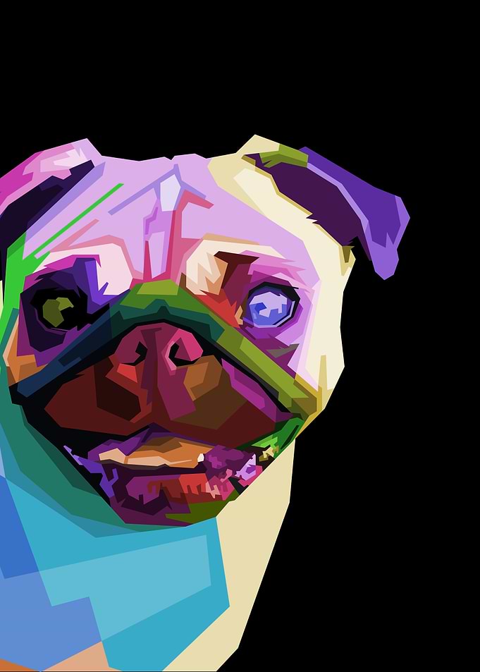 pug on geometric pop art