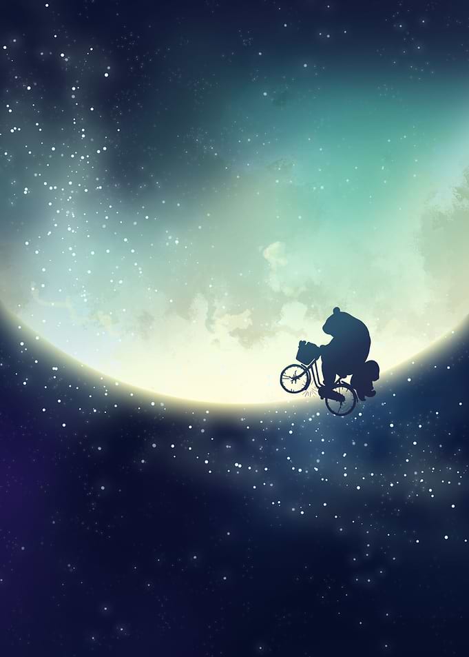 Panda at Moon starry sky