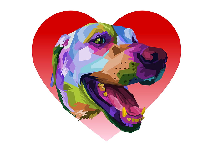 colorful labadror dog