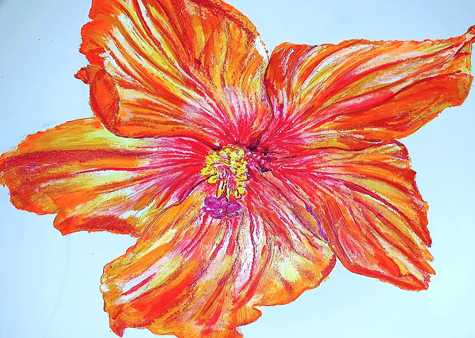 Hibiscus