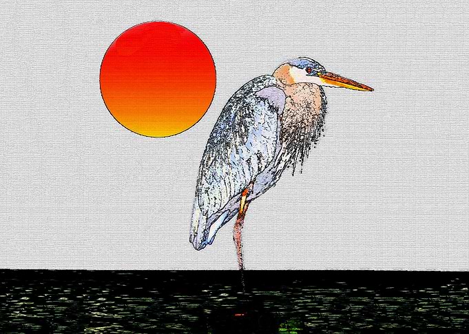 Egret at dawn