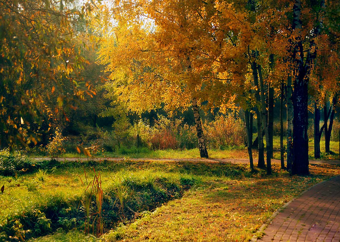 Autumn in the Park