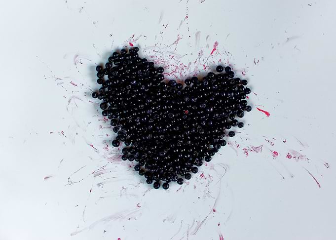 Blueberry love