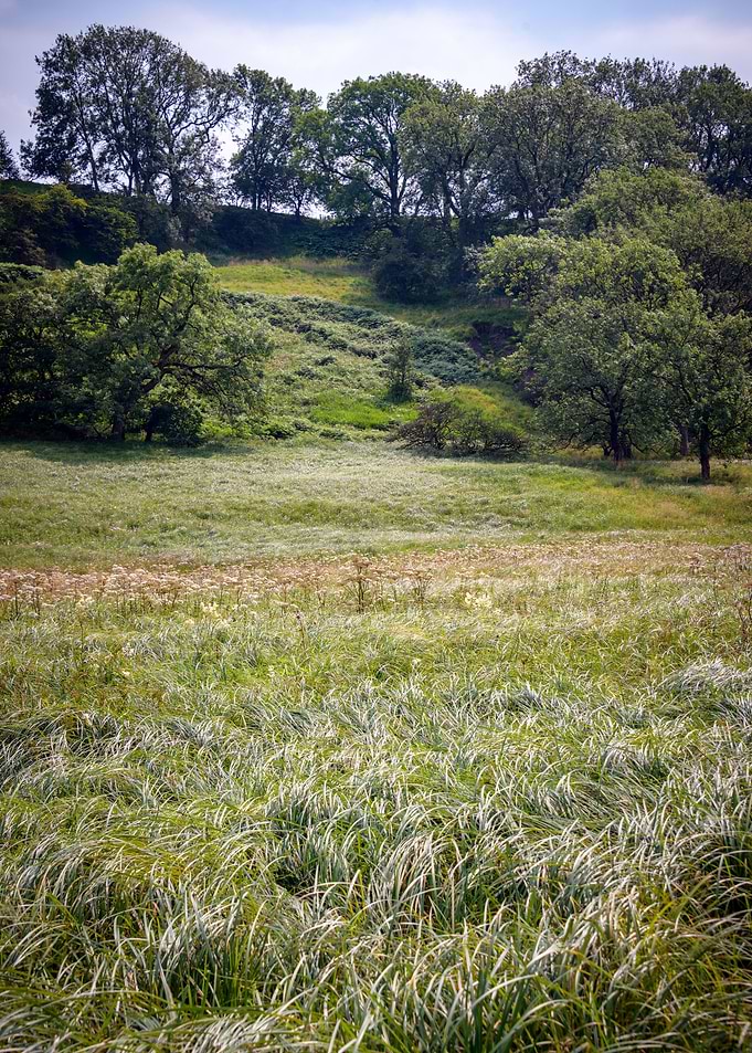 North Yorkshire landscape