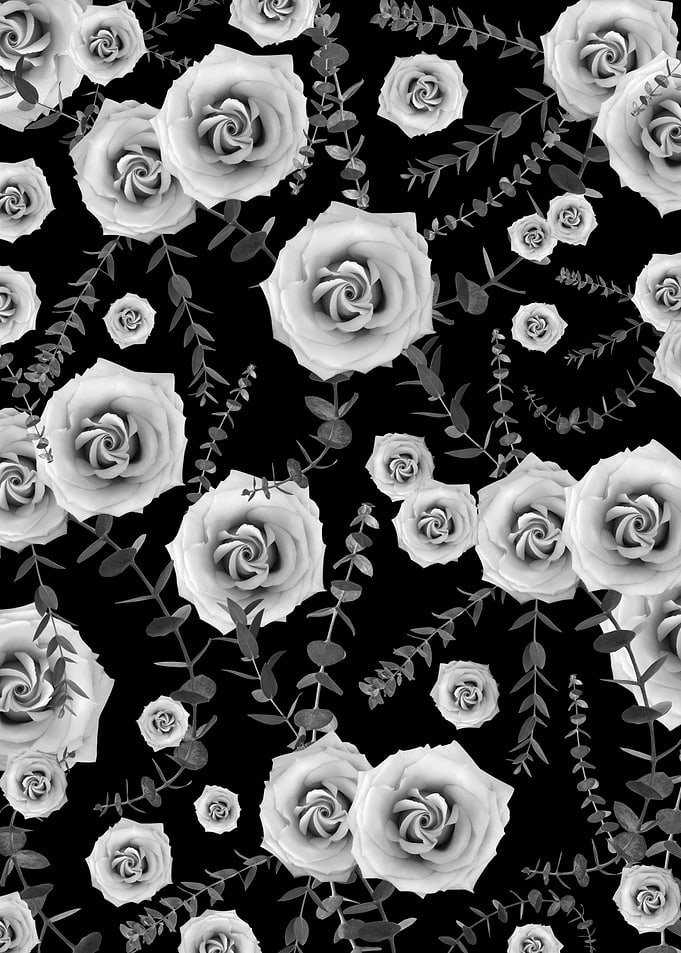 Night Rose Eucalyptus 4