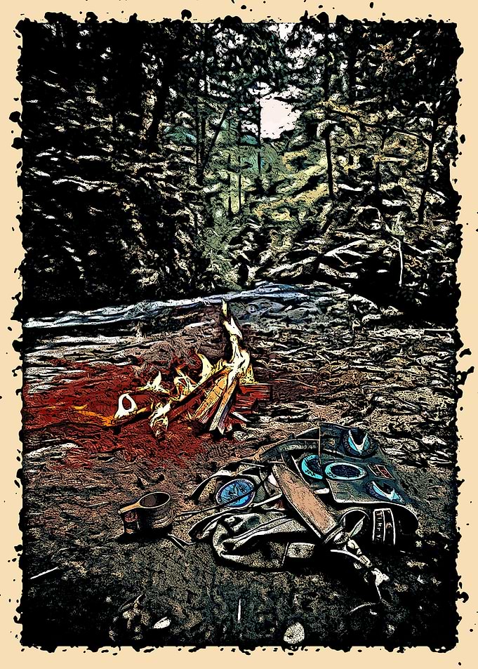 Campfire in Nature