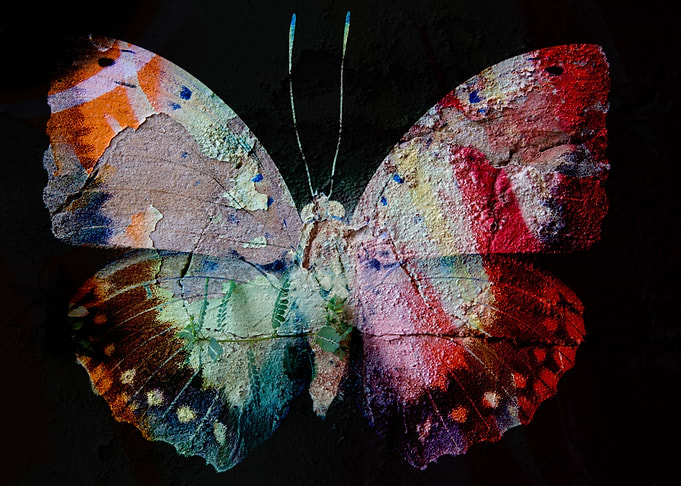 shaman Butterfly