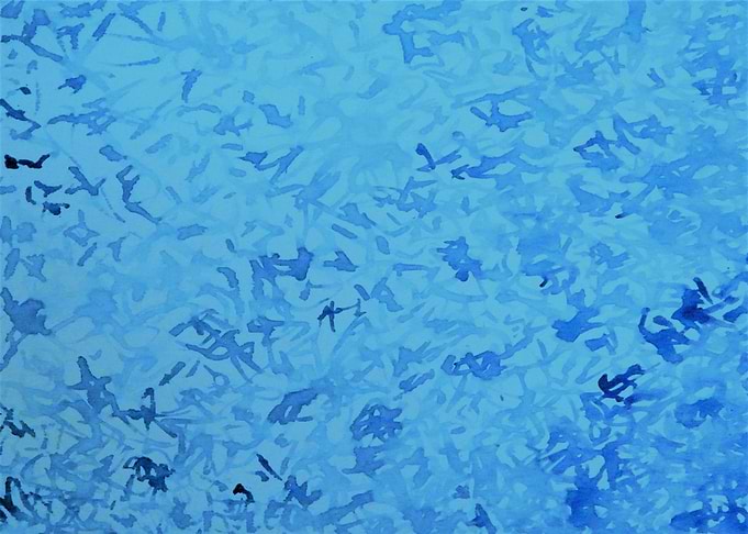 AquaBrush