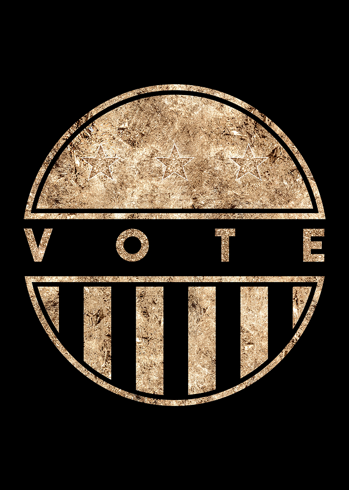 USA VOTE civic duty