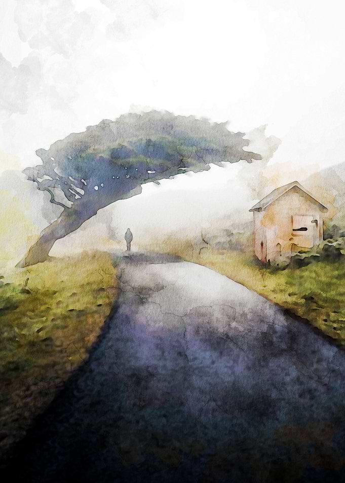 The Mornings Mist